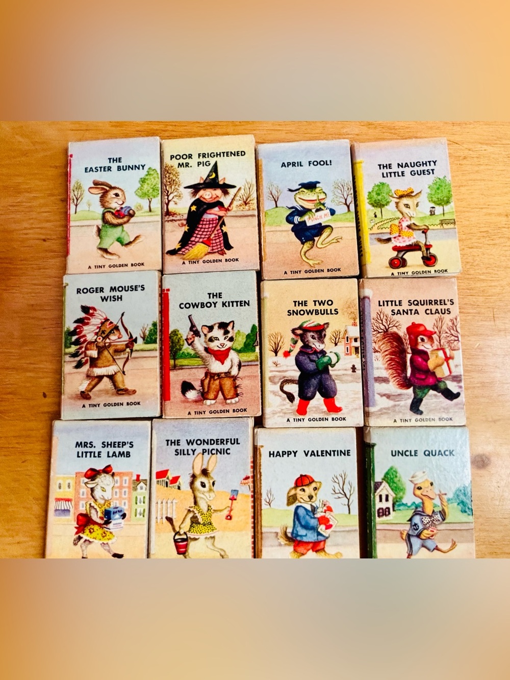 S & S Tomcat Tiny Book Set